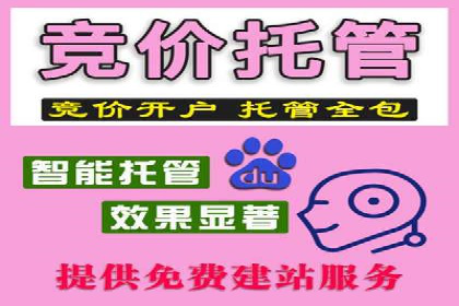 汽车行业信息流广告代理的成功策略与案例